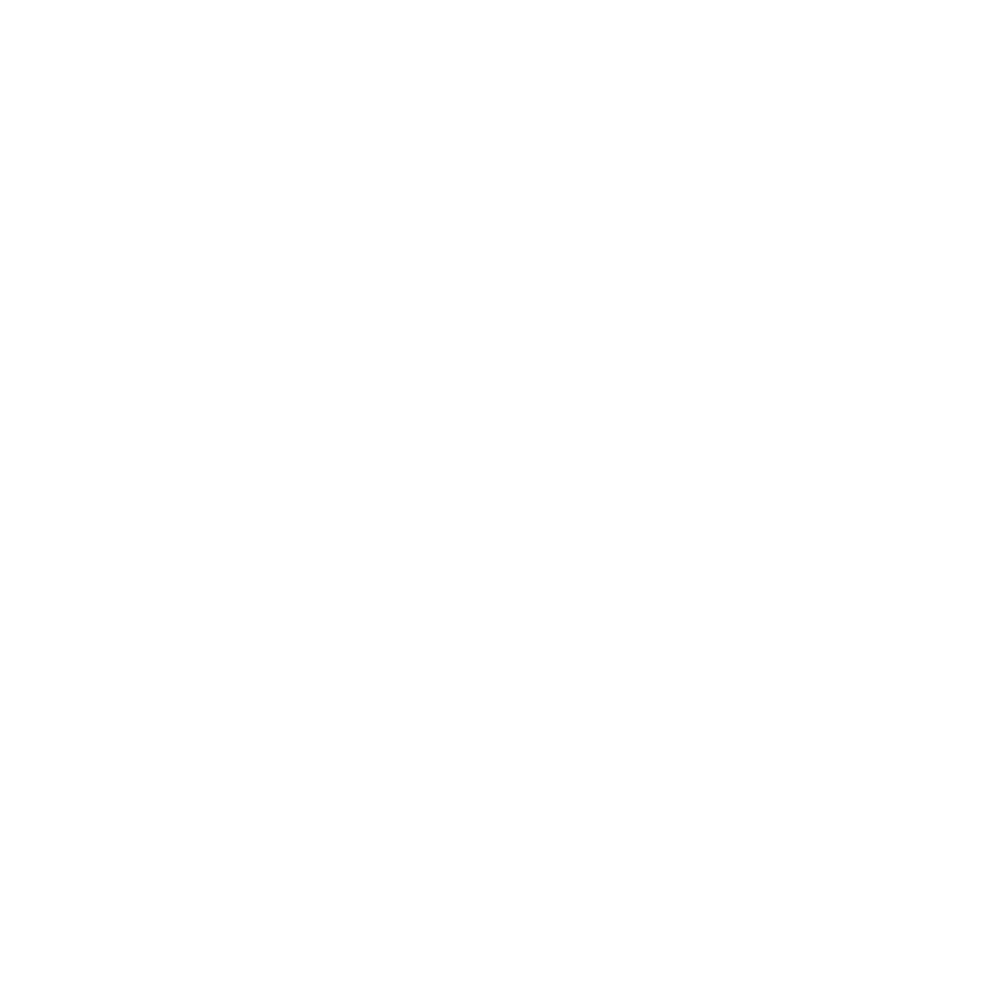 Wordpress Logo en Blanco