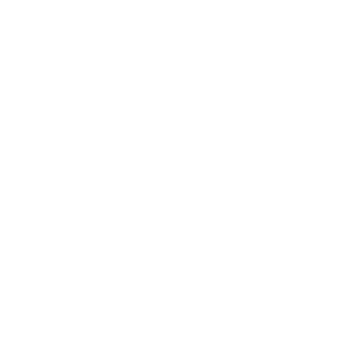 PALOTE